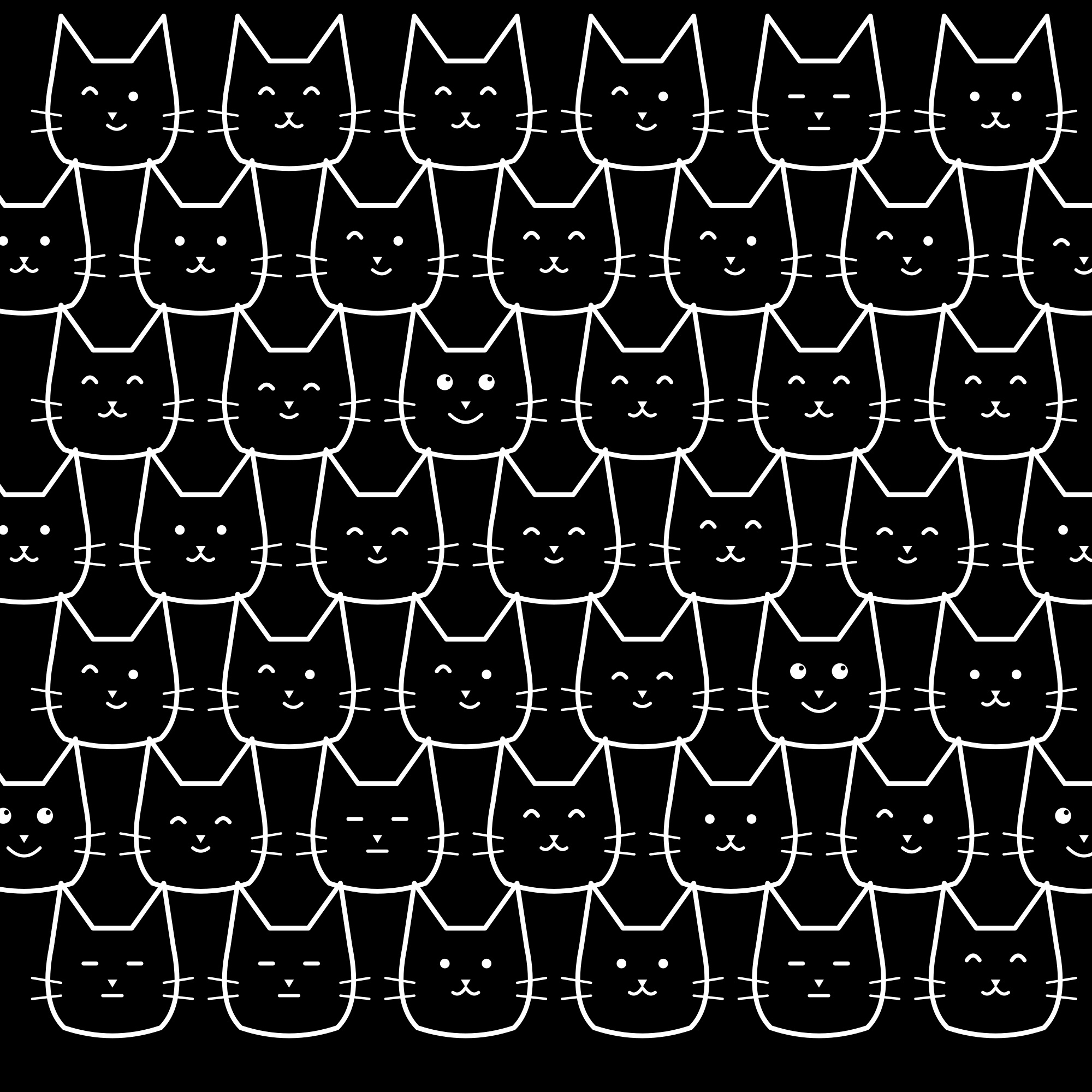 Cat pattern C